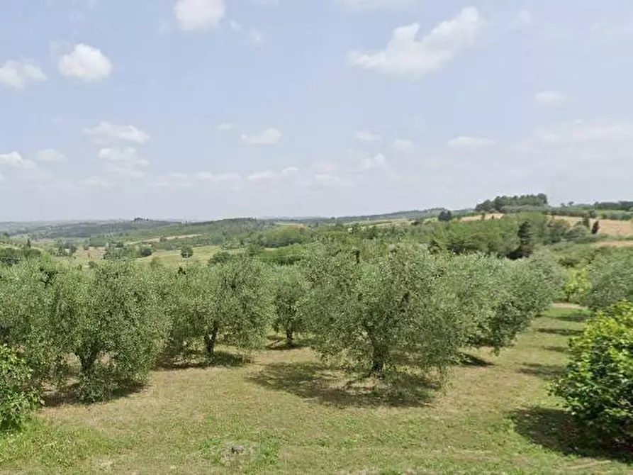 Immagine 2 di Capannone industriale in vendita  in VIA GIUSEPPE VERDI a Buti