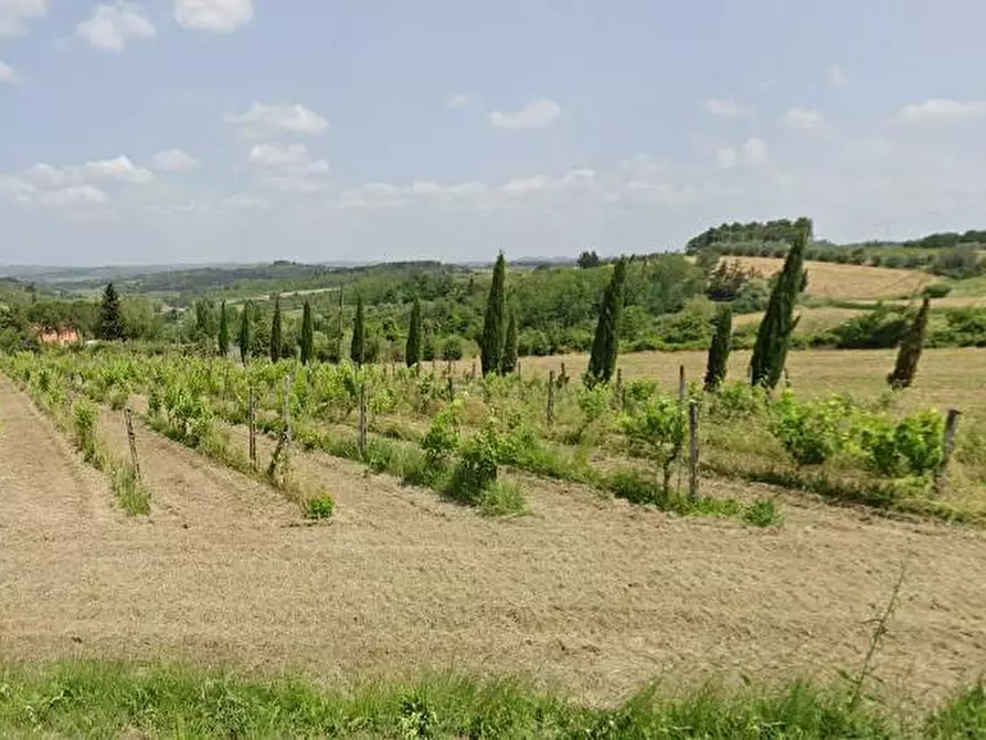 Immagine 3 di Capannone industriale in vendita  in VIA GIUSEPPE VERDI a Buti