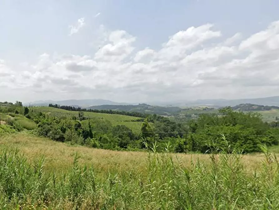 Immagine 4 di Capannone industriale in vendita  in VIA GIUSEPPE VERDI a Buti