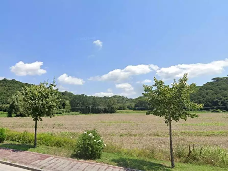 Immagine 9 di Capannone industriale in vendita  in VIA GIUSEPPE VERDI a Buti