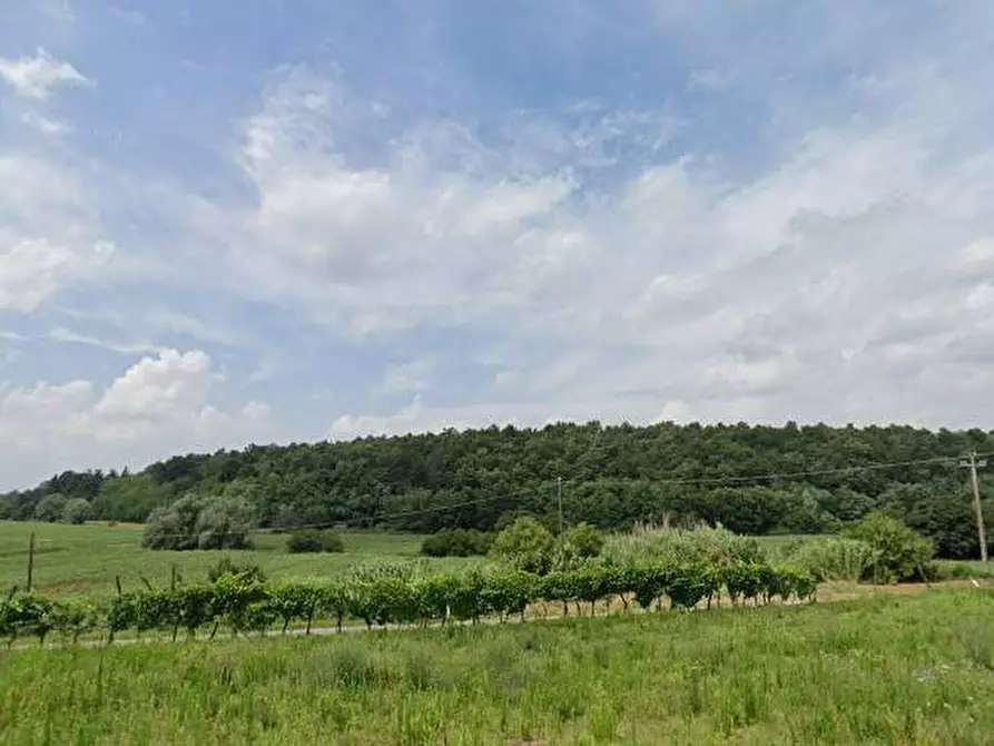 Immagine 12 di Capannone industriale in vendita  in VIA GIUSEPPE VERDI a Buti