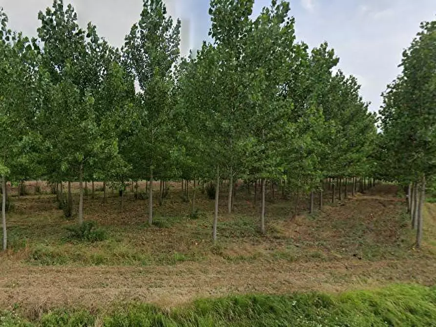 Immagine 14 di Capannone industriale in vendita  in VIA GIUSEPPE VERDI a Buti