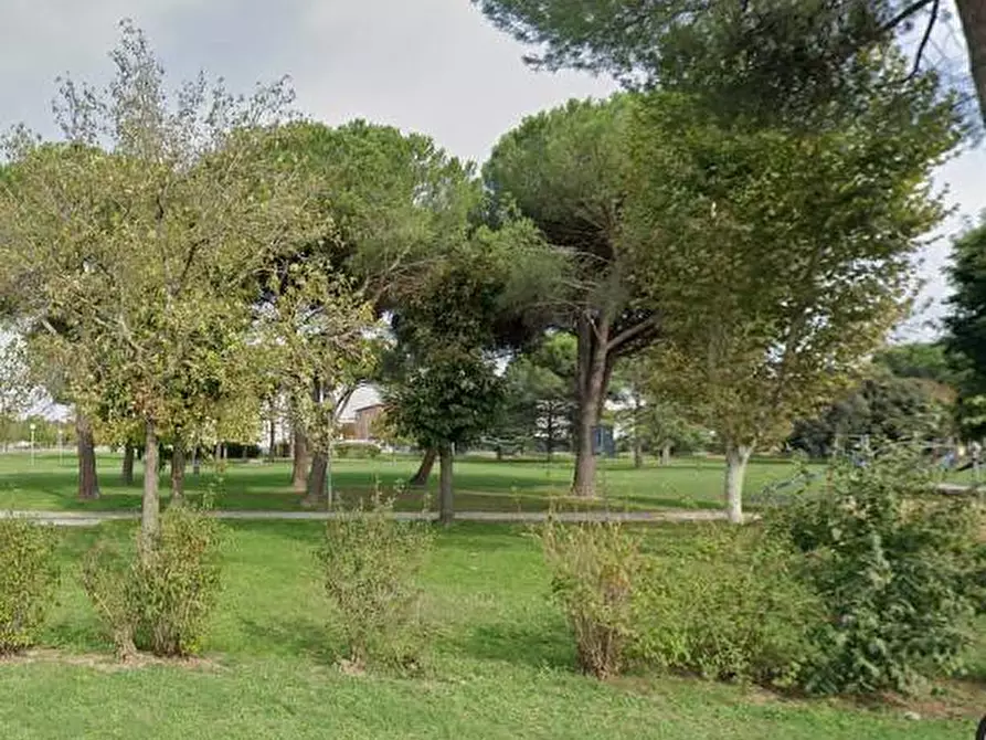 Immagine 11 di Casa indipendente in vendita  in LOC. CIPRESSI a Pieve Fosciana