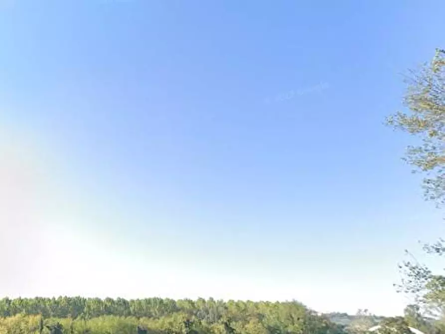 Immagine 2 di Casa indipendente in vendita  in via Del Campaccio a Buti