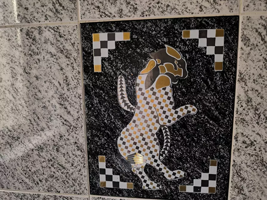 Immagine 28 di Casa indipendente in vendita  in STRADA FONTECHIARA a Chieti