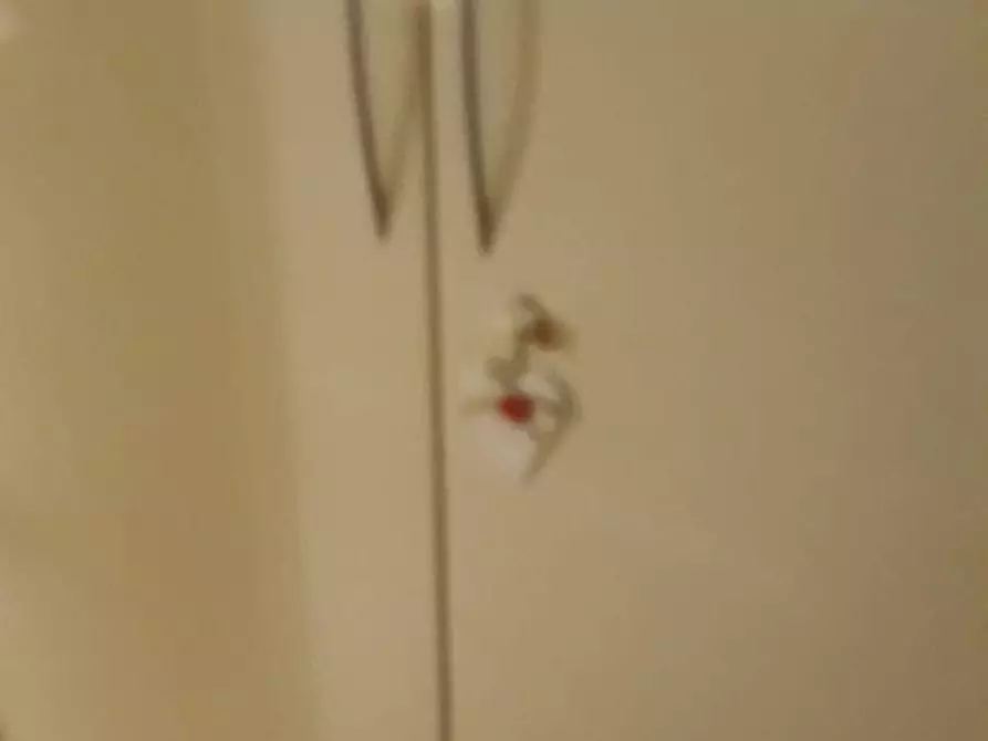 Immagine 26 di Appartamento in affitto  a Monfalcone