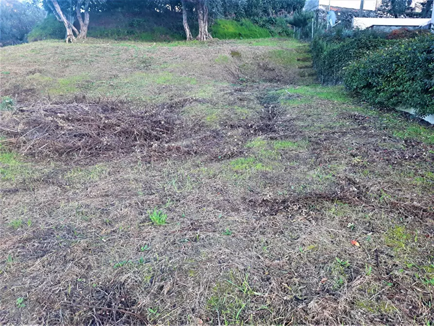 Immagine 1 di Terreno residenziale in vendita  in via roma a Lajatico