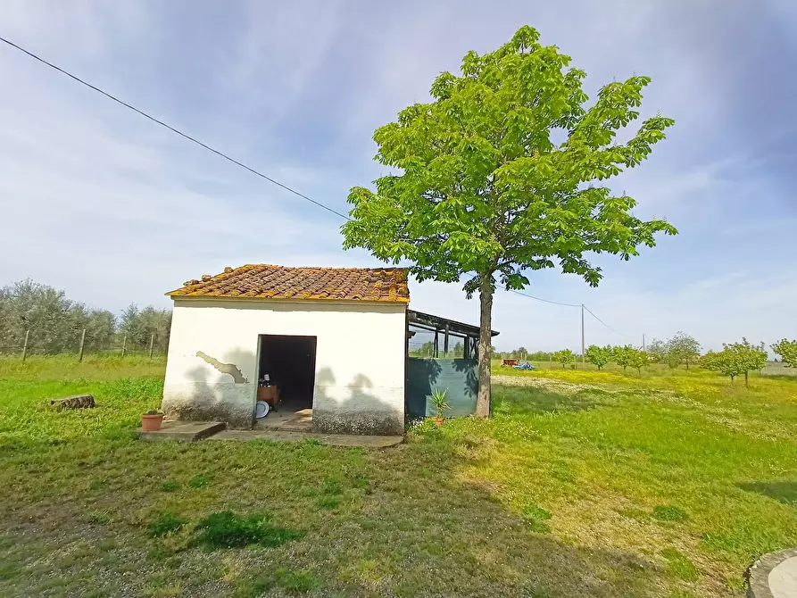 Immagine 24 di Rustico / casale in vendita  in via maremmana a Casciana Terme Lari