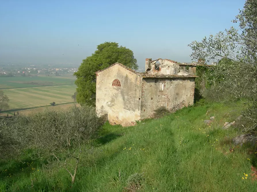 Immagine 4 di Rustico / casale in vendita  a San Giuliano Terme
