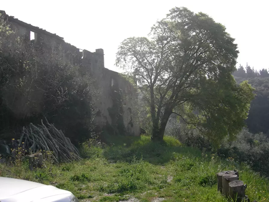 Immagine 9 di Rustico / casale in vendita  a San Giuliano Terme