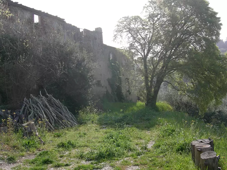 Immagine 10 di Rustico / casale in vendita  a San Giuliano Terme