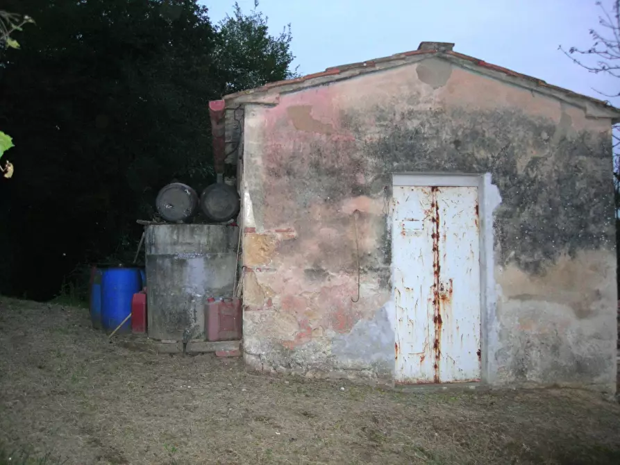 Immagine 1 di Terreno agricolo in vendita  in via il colle a Casciana Terme Lari