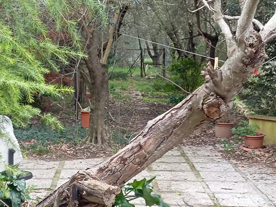 Immagine 12 di Appartamento in vendita  in via delle vigne a Casciana Terme Lari