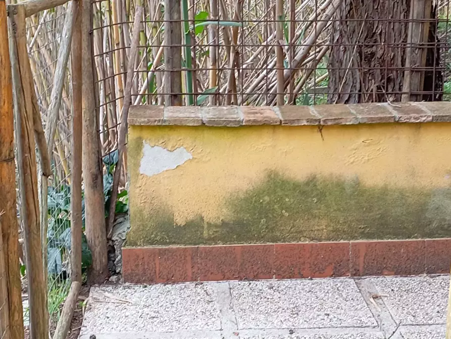 Immagine 13 di Appartamento in vendita  in via delle vigne a Casciana Terme Lari