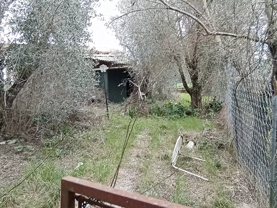 Immagine 14 di Appartamento in vendita  in via delle vigne a Casciana Terme Lari