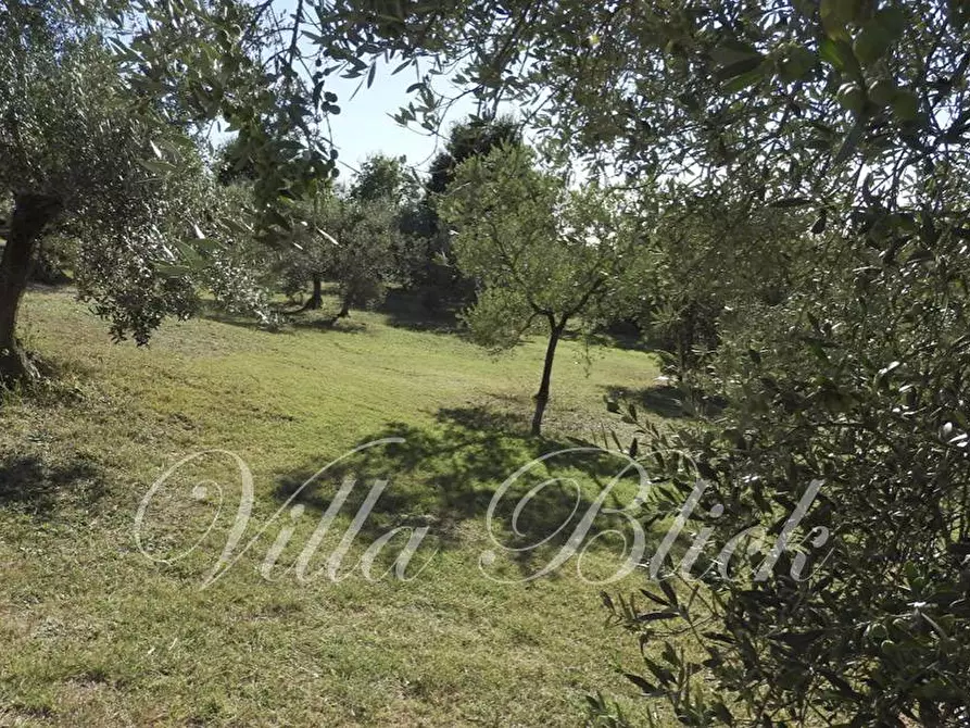 Immagine 10 di Villa in vendita  in via sisto longo a Guardistallo