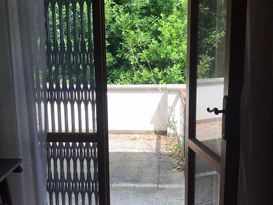 Immagine 11 di Casa indipendente in vendita  in via sanomeo a Terricciola