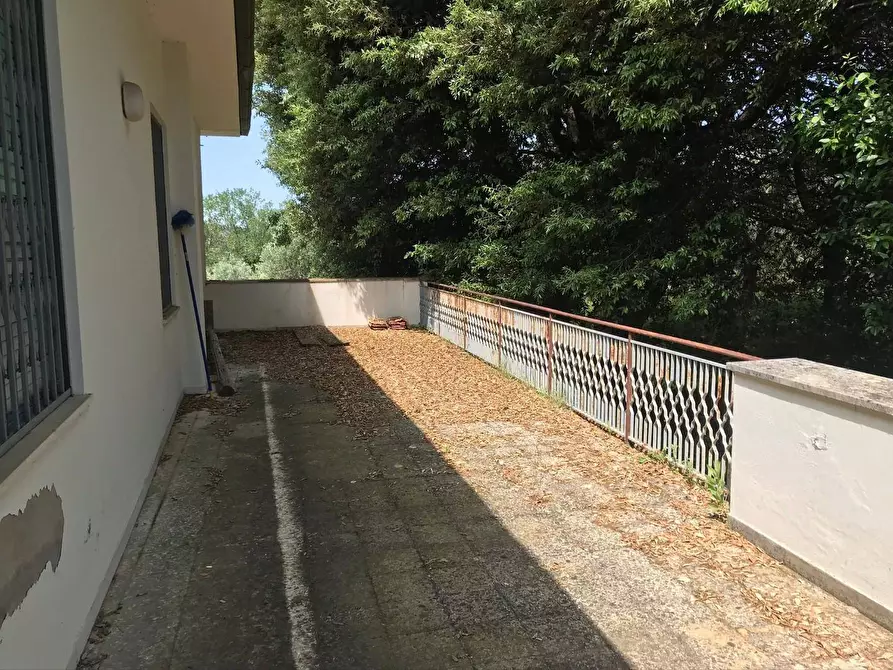 Immagine 12 di Casa indipendente in vendita  in via sanomeo a Terricciola