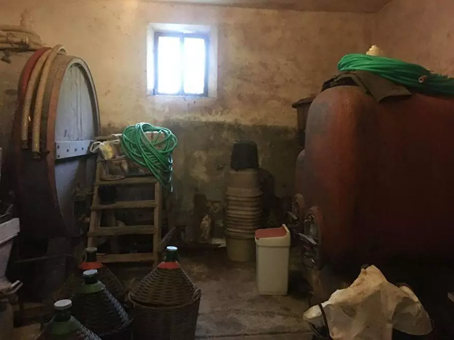 Immagine 21 di Casa indipendente in vendita  in via sanomeo a Terricciola