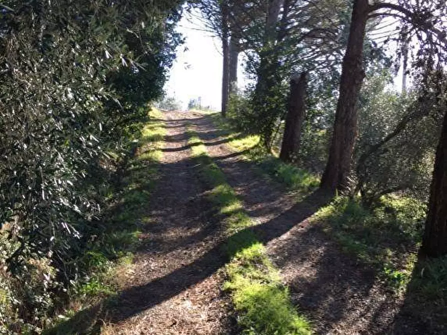 Immagine 24 di Casa indipendente in vendita  in via sanomeo a Terricciola