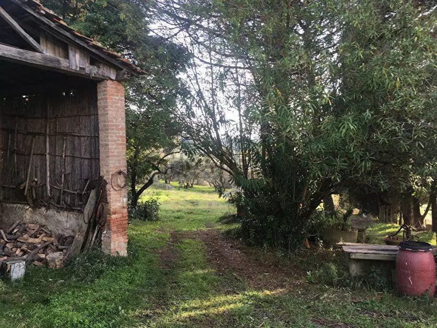 Immagine 26 di Casa indipendente in vendita  in via sanomeo a Terricciola