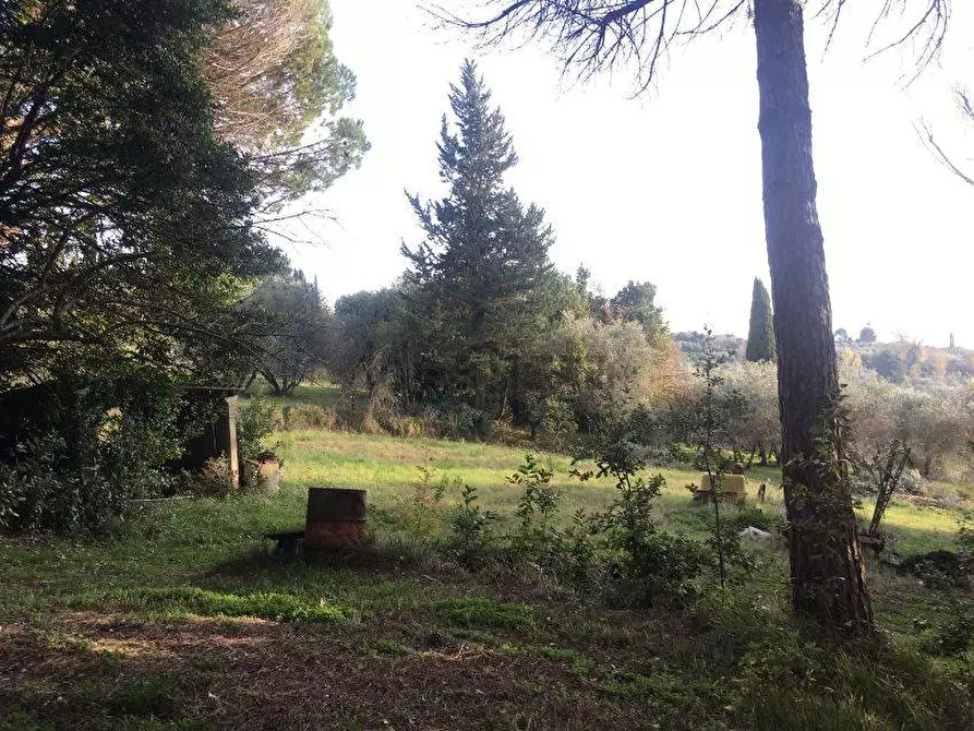 Immagine 27 di Casa indipendente in vendita  in via sanomeo a Terricciola