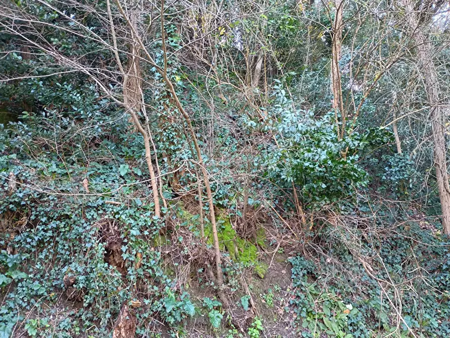 Immagine 12 di Casa indipendente in vendita  in via santissima annunziata a Capannoli