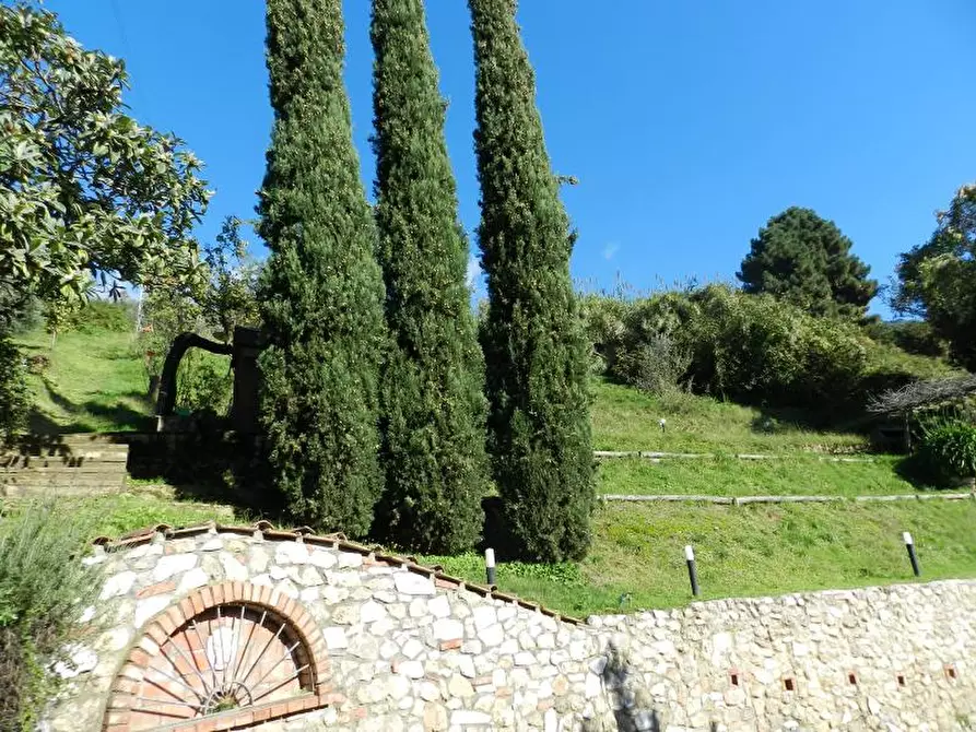 Immagine 3 di Rustico / casale in vendita  a Pietrasanta
