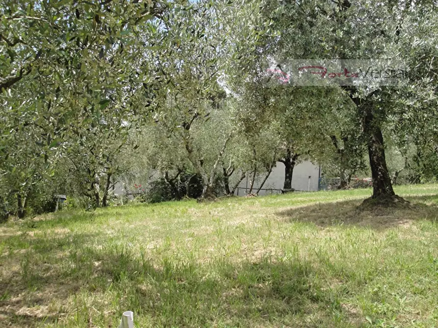 Immagine 12 di Rustico / casale in vendita  a Monsummano Terme