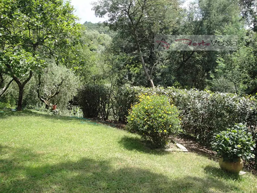 Immagine 11 di Rustico / casale in vendita  a Monsummano Terme