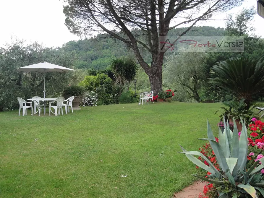 Immagine 13 di Rustico / casale in vendita  a Monsummano Terme