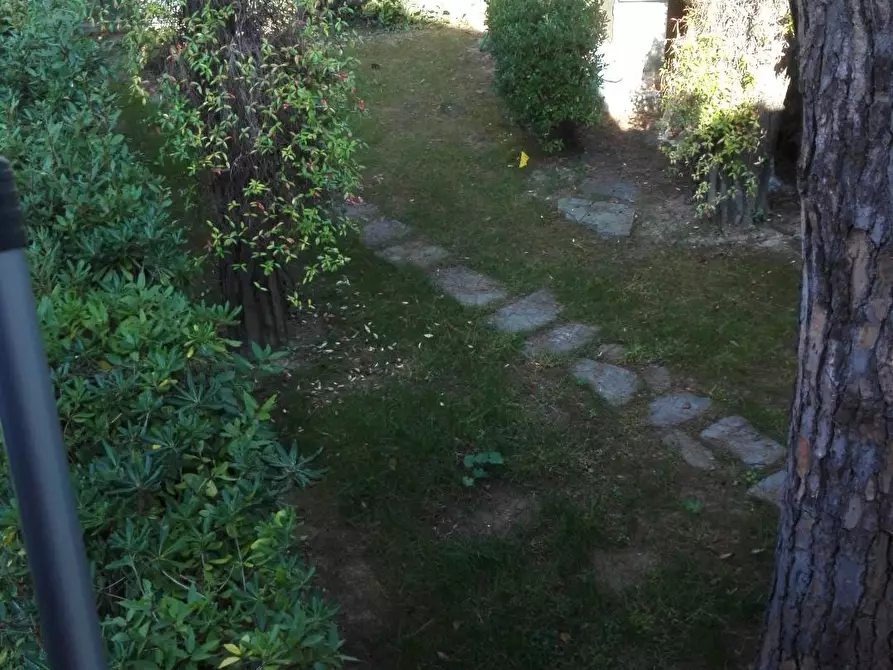 Immagine 28 di Villa in vendita  a Forte Dei Marmi