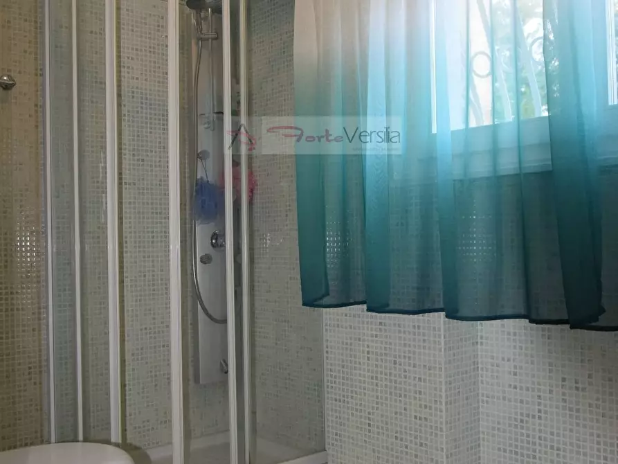 Immagine 13 di Villa in affitto  a Forte Dei Marmi