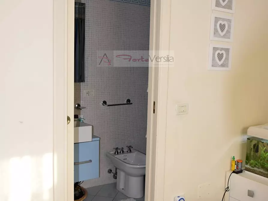 Immagine 17 di Villa in affitto  a Forte Dei Marmi