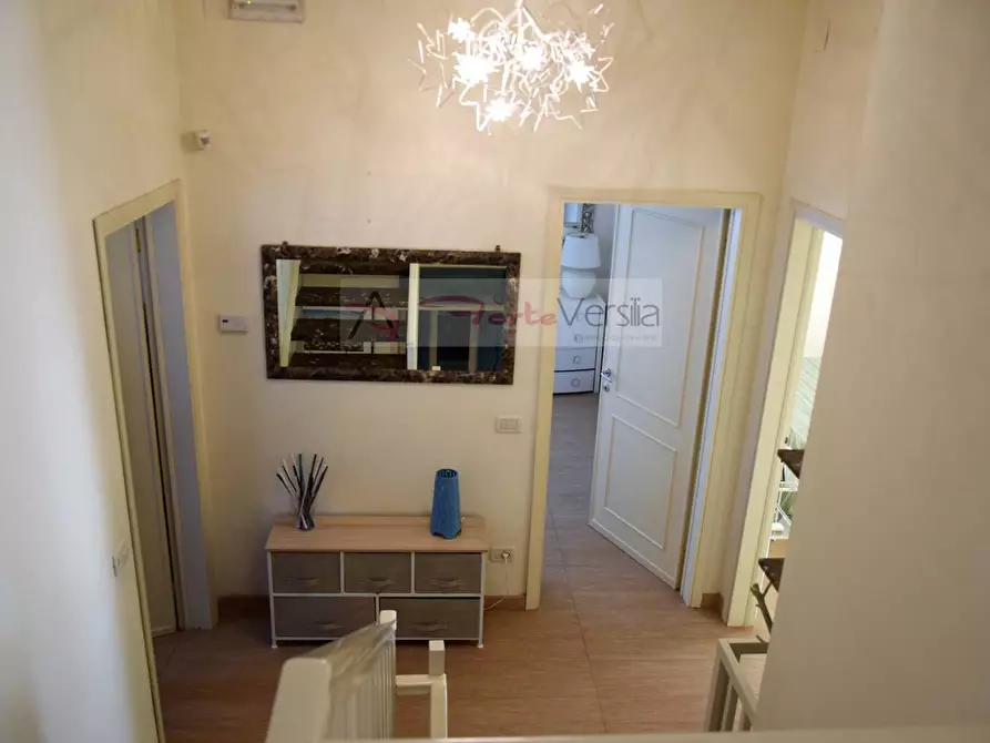 Immagine 19 di Villa in affitto  a Forte Dei Marmi