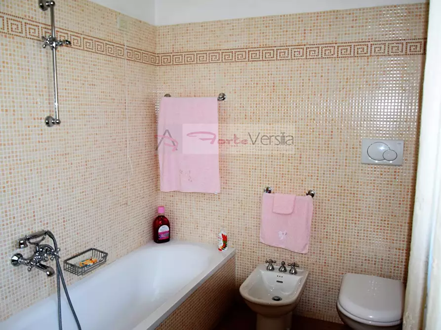 Immagine 24 di Villa in affitto  a Forte Dei Marmi