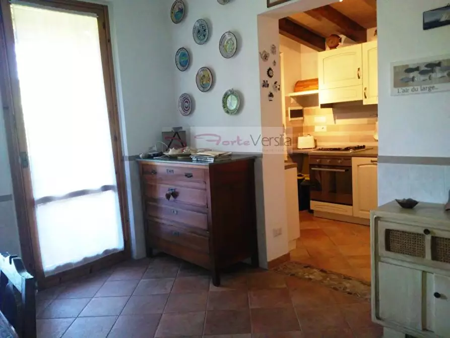 Immagine 6 di Villa in vendita  a Montignoso