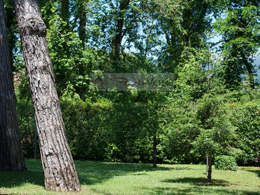 Immagine 3 di Villa in affitto  a Montignoso