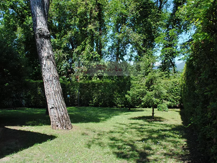 Immagine 6 di Villa in affitto  a Montignoso