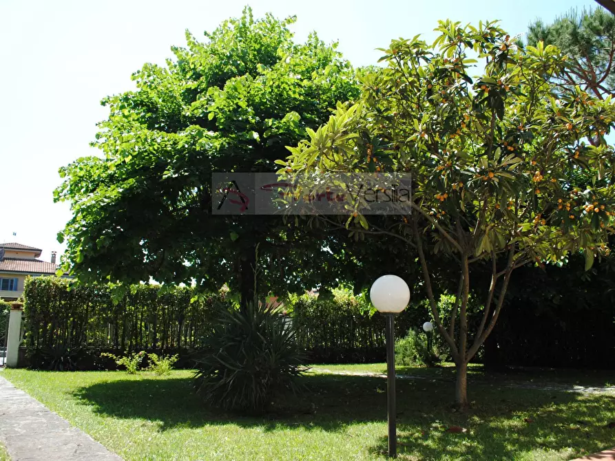 Immagine 7 di Villa in affitto  a Montignoso