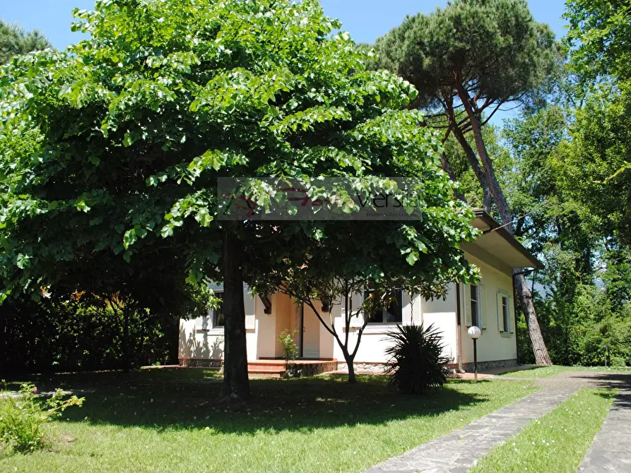 Immagine 2 di Villa in affitto  a Montignoso