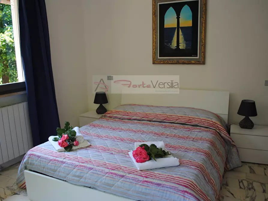 Immagine 15 di Villa in affitto  a Montignoso