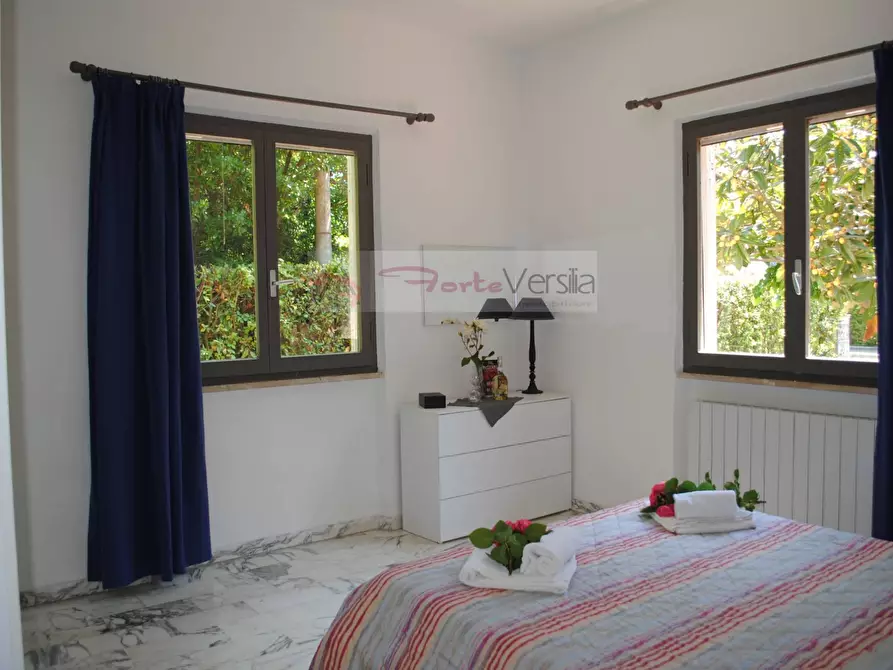 Immagine 16 di Villa in affitto  a Montignoso