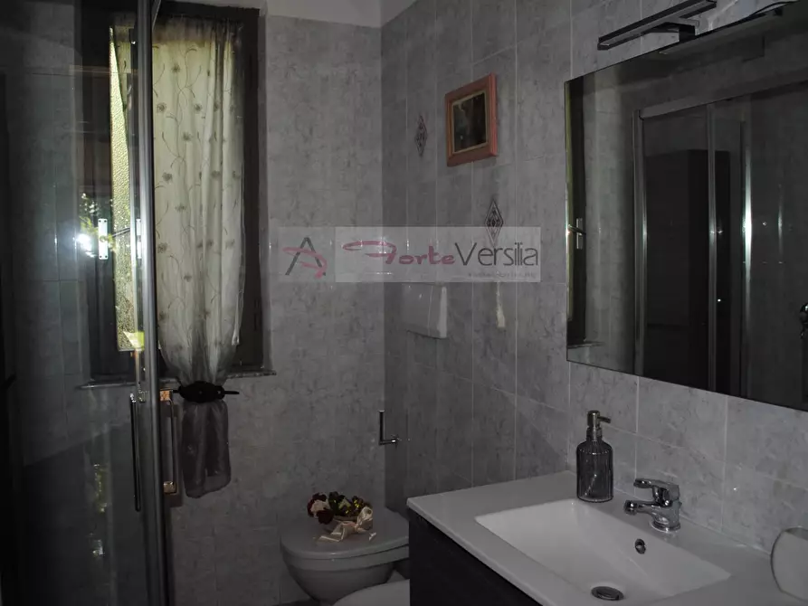 Immagine 28 di Villa in affitto  a Montignoso