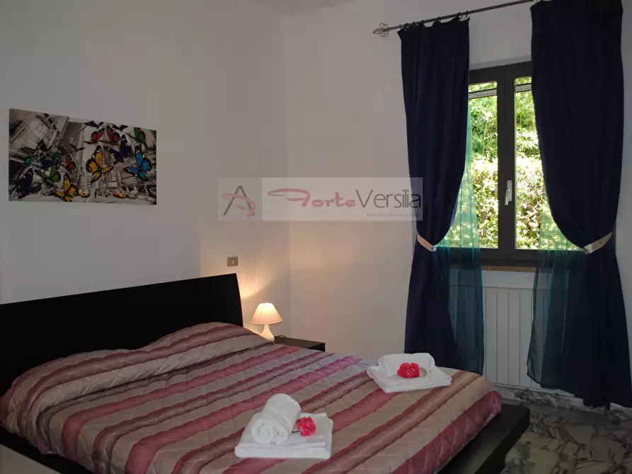 Immagine 19 di Villa in affitto  a Montignoso