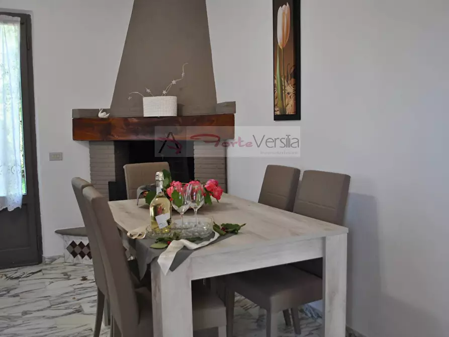 Immagine 11 di Villa in affitto  a Montignoso