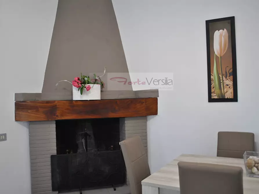 Immagine 12 di Villa in affitto  a Montignoso