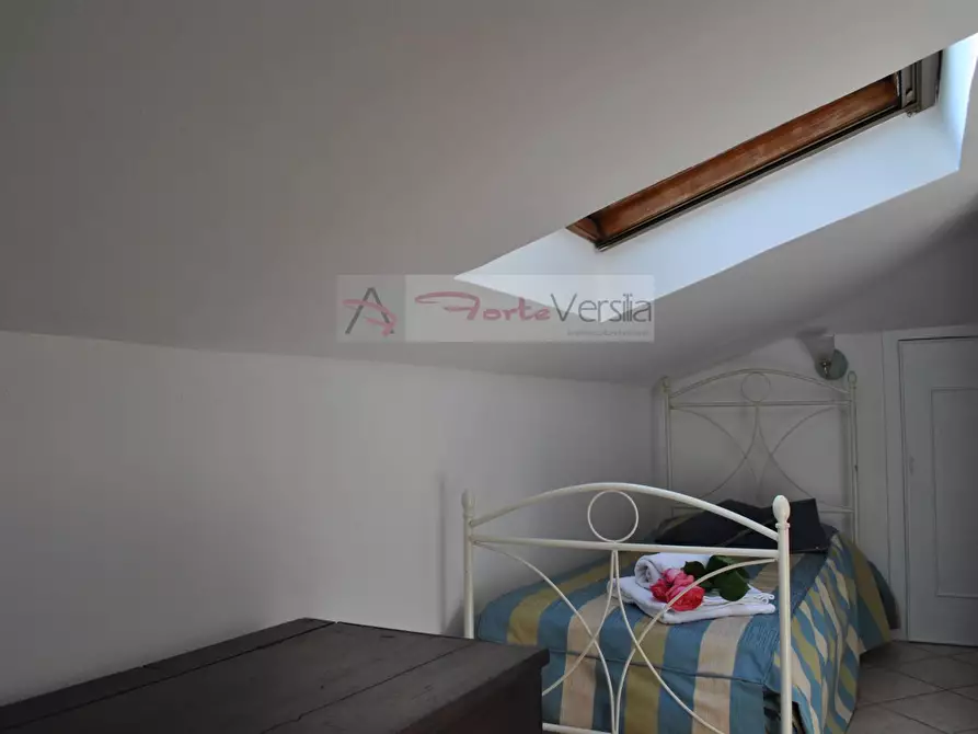 Immagine 25 di Villa in affitto  a Montignoso