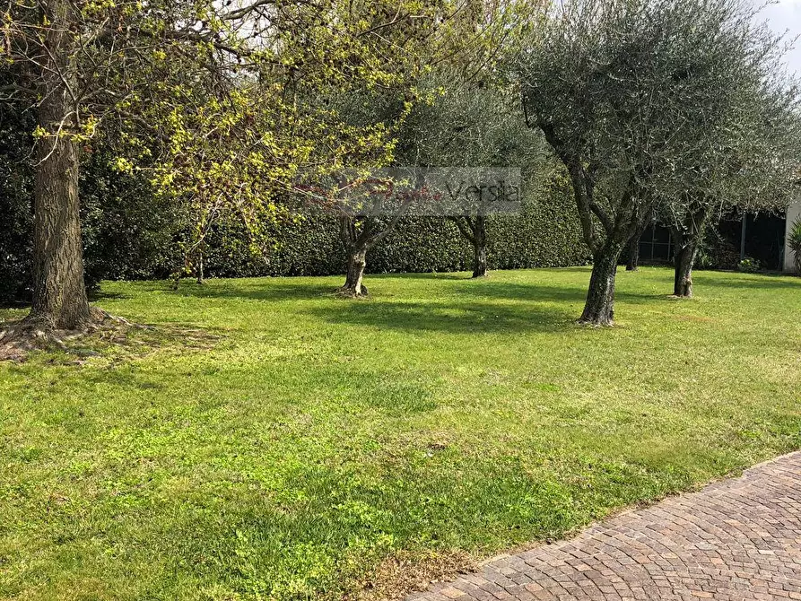 Immagine 3 di Villa in affitto  a Forte Dei Marmi