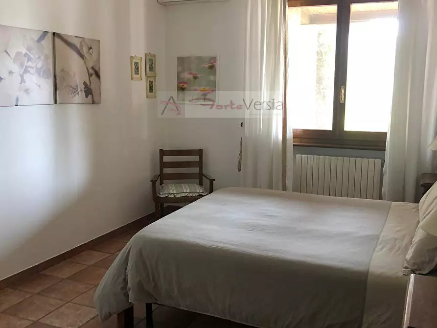 Immagine 7 di Villa in affitto  a Forte Dei Marmi